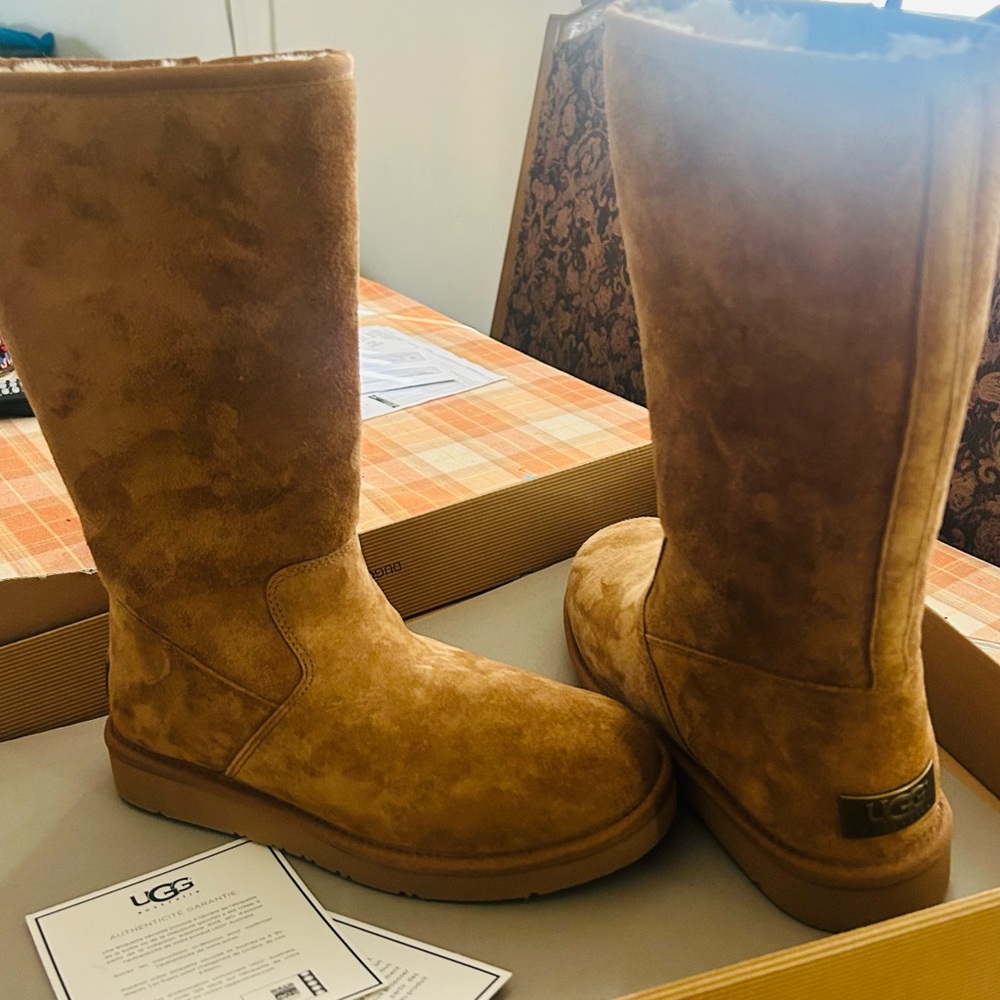 UGG Chestnut W Sumner Boots